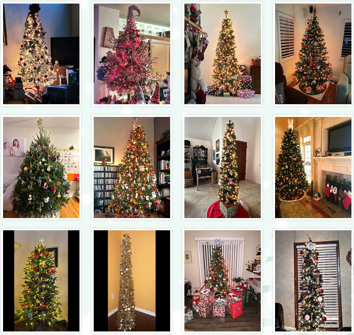 Reader Christmas Trees