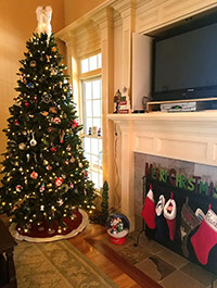 Reader Barbara W's Christmas Tree