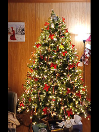 Reader Cathy S's Christmas Tree