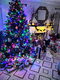 Reader Cindy G's Christmas Tree