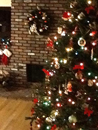 Reader Jackie K's Christmas Tree