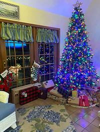 Reader Janet H's Christmas Tree