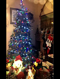 Reader Juanita R's Christmas Tree