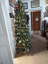 Reader Judith M's Christmas Tree