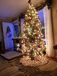 Reader Kathie T's Christmas Tree