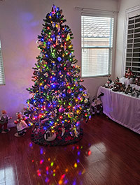 Reader Maria B's Christmas Tree