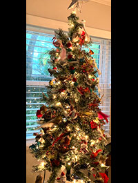 Reader Mary D's Christmas Tree