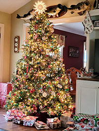 Reader Merle L's Christmas Tree