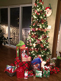 Reader Paula B's Christmas Tree