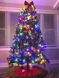 Reader Susan K's Christmas Tree