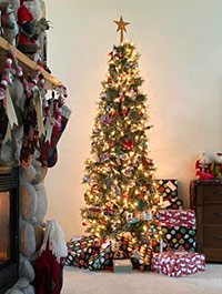 Reader Tina V's Christmas Tree