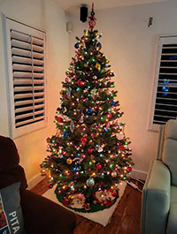 Reader Vicky V's Christmas Tree